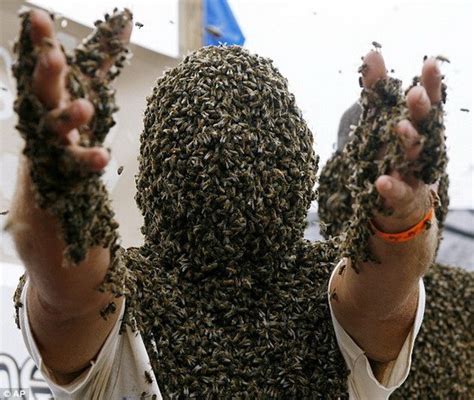 加拿大人参加蜜蜂胡须大赛 头部爬满蜜蜂(组图)_新闻中心_新浪网