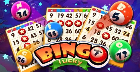 bingo101 top casino game,and when it comes to the top casino game