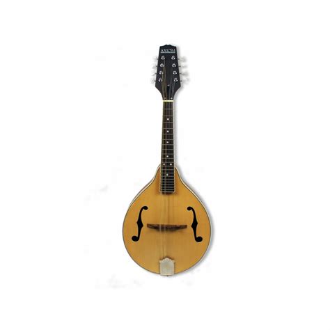 Axiom Mandolin - A Style - Bunnings Australia