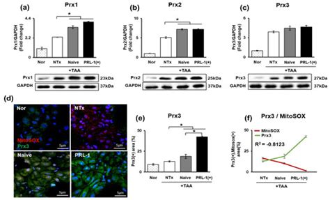 Phosphatase of Regenerating Liver-1 (PRL-1)-Overexpressing Placenta ...