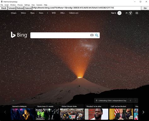 Image result for Webview2 Example