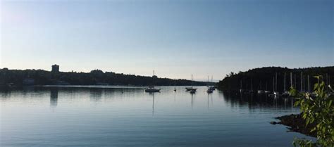 Support Local Halifax 的图像结果