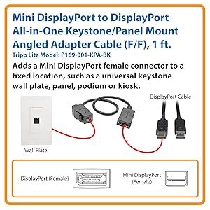 Amazon.in: Buy Tripp Lite Mini DisplayPort to DisplayPort All-in-One ...