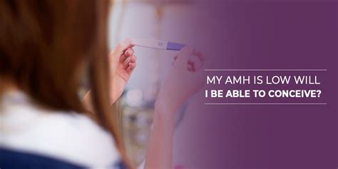 My AMH is Low – Will I Be Able To Conceive? - Zeeva Fertility