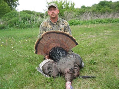 Record Turkey Beard Length at John Keys blog