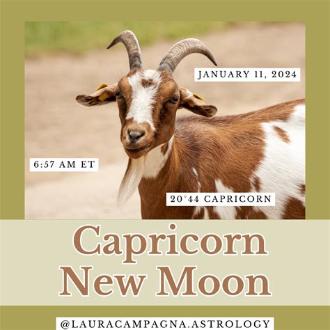 January 11th zodiac 60 photos - Astrologytoyou.com