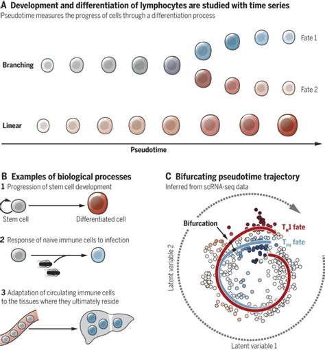Image result for Transcriptomics technologies Single-cell Transcriptomics