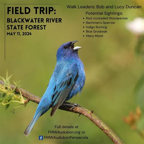 Field Trip: Blackwater River State Forest & Memorial Bench Dedication ...