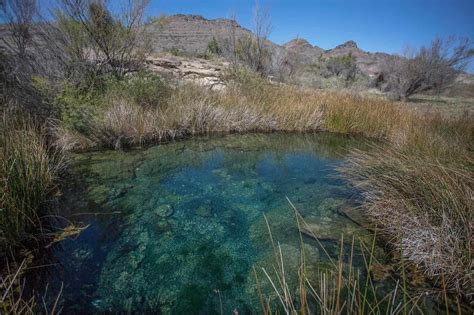 Hidden Wonders Of Nevada's Ash Meadows Springs | TouristSecrets