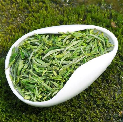 【毛尖绿茶】毛尖绿茶的功效与作用_毛尖绿茶怎么泡好喝_绿茶说