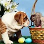 Image result for 1920X1080 Cute Easter Wallpaper