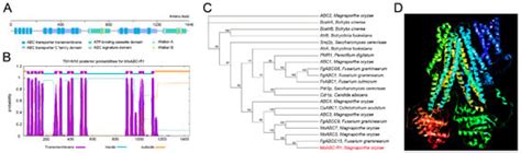 ABCC Transporter Gene MoABC-R1 Is Associated with Pyraclostrobin ...
