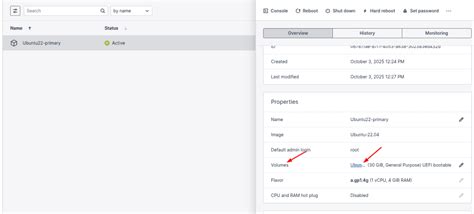 How to upgrade primary disk storage of linux server in cloudpe ...