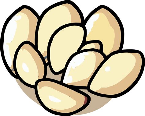 pumpkin seed png graphic clipart design 23623377 PNG