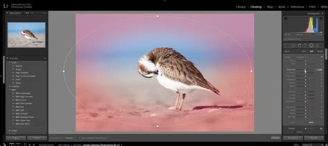 Image result for Screen Post-Process Effects