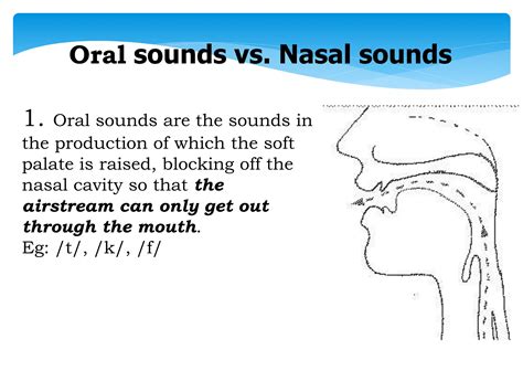 Classification of Sounds 的图像结果