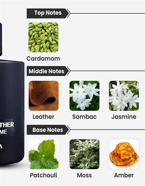 Noir En Leather Pour Homme EDP 10ML Decant for Men by Pendora Scents ...