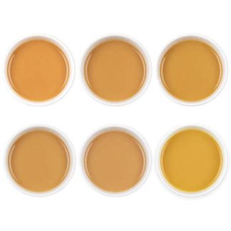 Indian Chai Tea Sampler Pack Online – UDYAN TEA