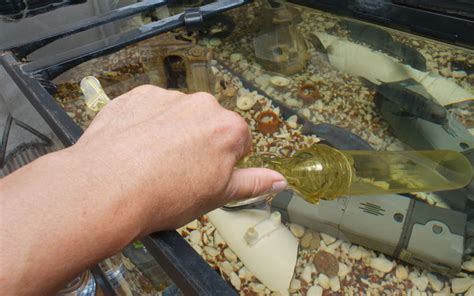 How to Clean the Gravel in Fish Tank? - AquariumNexus