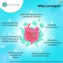 Velbiom Lactogut Probiotic Digestion Issue, Gut Health IBS, IBD ...