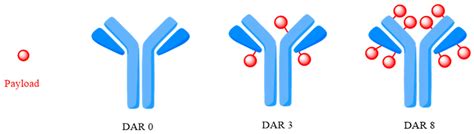 Antibody–Drug Conjugates—Evolution and Perspectives