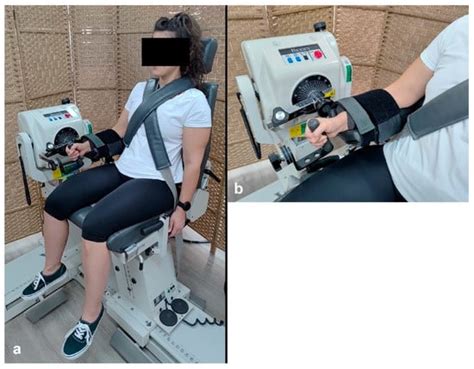 Journal of Functional Morphology and Kinesiology | An Open Access ...