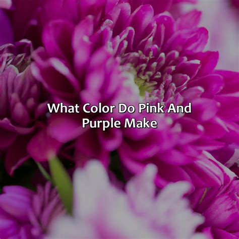 What Color Do Pink And Purple Make - colorscombo.com