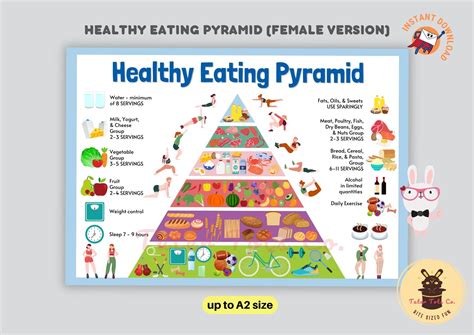 Food Pyramid Serving Sizes Examples