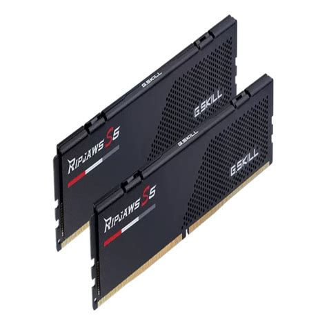 Buy G.SKILL Ripjaws S5 32GB ( 16GB X 2) 6000Mhz DDR5 RAM (Black) ( CL30 ...