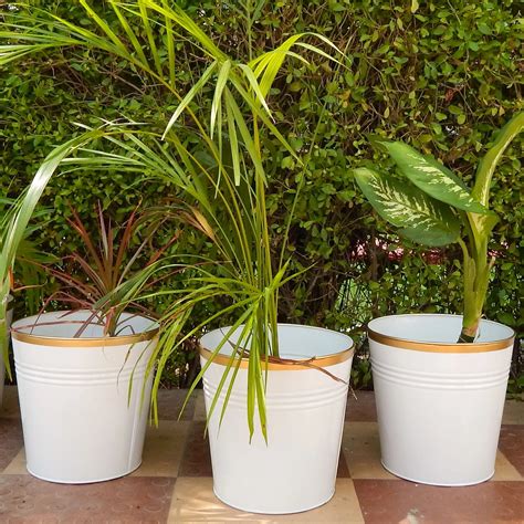 Pure Charm – White Bucket Metal Planter Set by Ecofynd (Set of 3)
