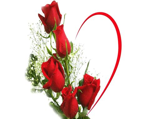Love Flower Background Images Hd | Best Flower Site