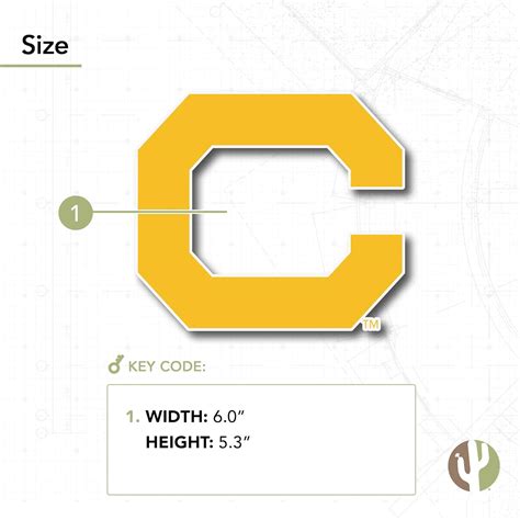 Buy Berkeley University of California Golden Bears Cal UC Golden Bears ...