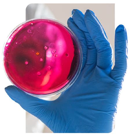 Microbiology Lab Instruments 的图像结果