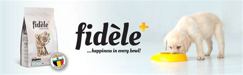 Fidele+ Dry Dog Food A Complete Balanced Diet 1 Kg Bag Suitable for All ...