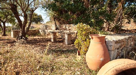 FABRICA FARM (Vamos, Crete) - Lodging Reviews & Photos - Tripadvisor