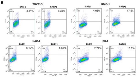 IJMS | Special Issue : Ovarian Cancer: From Molecular Mechanisms to ...