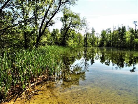 National Picnic Month: McCoy’s outdoor spaces on South Post offer ...