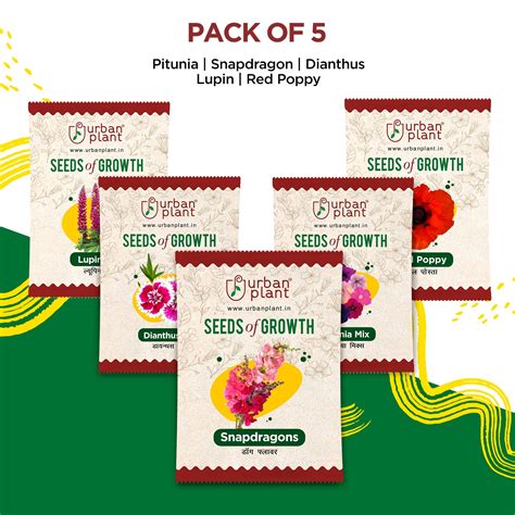 Floral Delight - (Pack of 5 Flower Seeds)