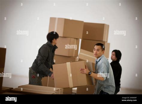 Image result for Fat Person Stacking Boxes