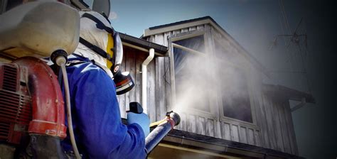 7004049538 | Inzila Pest Control Services |Pest Control In Ranchi ...