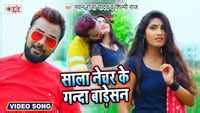 Ganda Videos | Latest Videos of Ganda - Times of India
