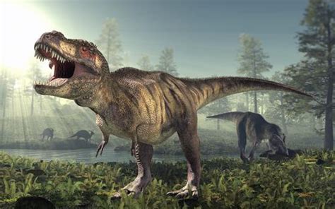 Image result for Dinosaur Using Computer Picture