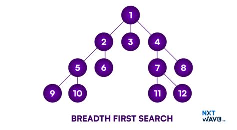Graph Traversal in Data Structures: Types and Applications