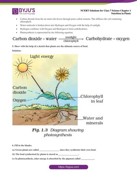 Image result for Class 7 Science Chapter 1 Activity