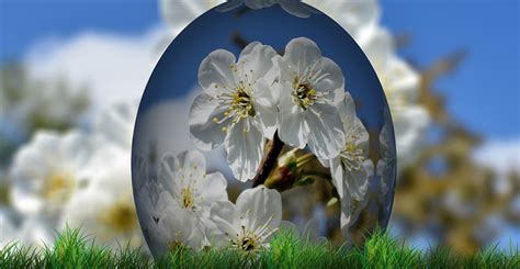Image result for Easter Origin