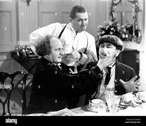 THE THREE STOOGES LARRY FINE, CURLY HOWARD, MOE HOWARD American ...
