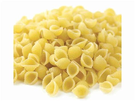 Image result for Small Shells