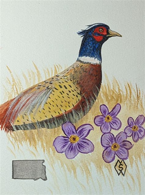 ArtStation - South Dakota state bird and flower, the ring-necked ...