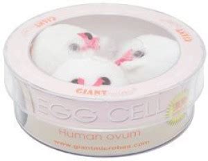 GIANT Microbes Egg Cell (Human Ovum) Petri Dish - 1.9 inch - Egg Cell ...