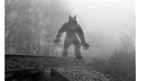 MICHIGAN MONSTERS: Dogman legend continues to howl across state | WWMT